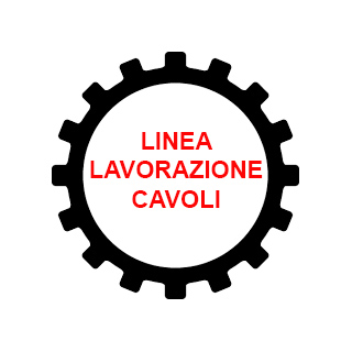 Linea lavorazione cavoli